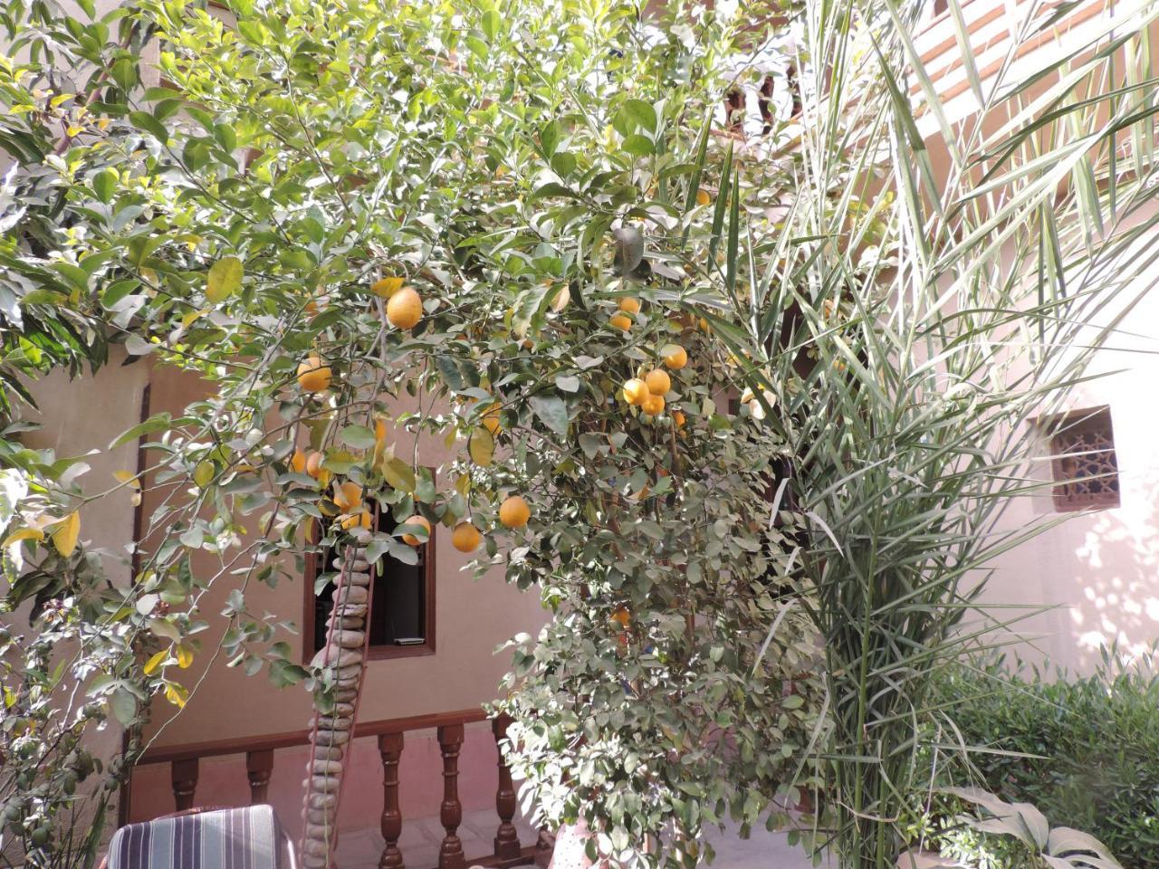 Villa Nile House Luxor Exterior foto